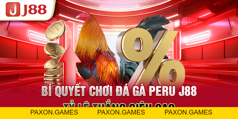 Đá Gà Peru J88 - Thần Kê Quy Tụ Cùng Nhau Tranh Tài Hấp Dẫn - Paxon