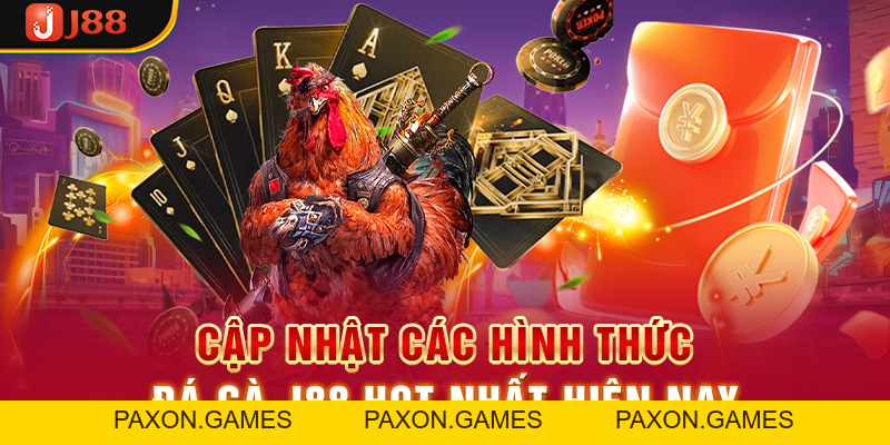 Trải Nghiệm Đá Gà J88 Và Rinh Về Phần Thưởng Cực Khủng - Paxon