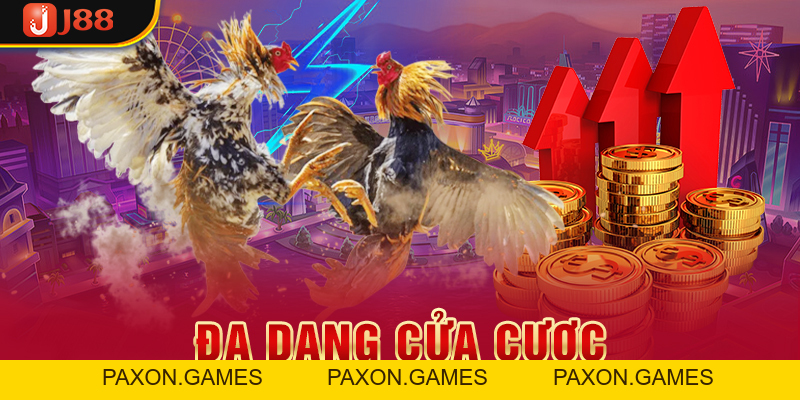 Trải Nghiệm Đá Gà J88 Và Rinh Về Phần Thưởng Cực Khủng - Paxon