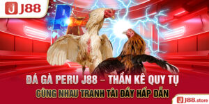 Tin Tức J88 - Tổng Hợp Thông Tin Nhanh Chóng, Chuẩn Xác Nhất - Paxon