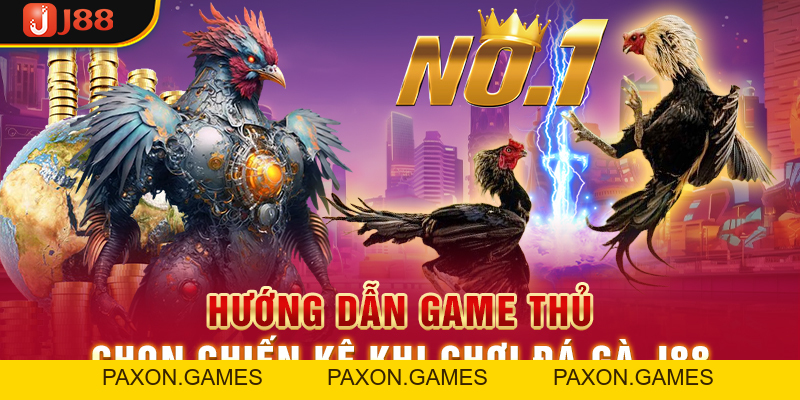 Trải Nghiệm Đá Gà J88 Và Rinh Về Phần Thưởng Cực Khủng - Paxon