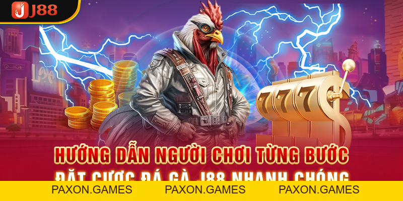 Trải Nghiệm Đá Gà J88 Và Rinh Về Phần Thưởng Cực Khủng - Paxon