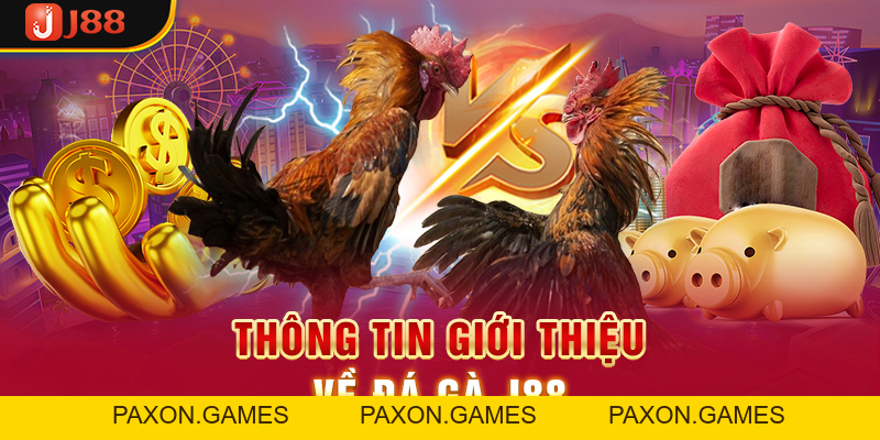 Trải Nghiệm Đá Gà J88 Và Rinh Về Phần Thưởng Cực Khủng - Paxon