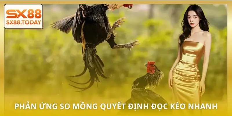Hướng Dẫn Bắt Kèo Đá Gà Từ A–Z Dành Cho Người Muốn Thắng - Paxon