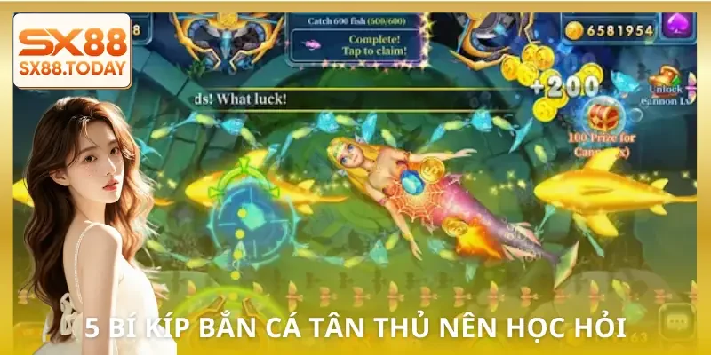 Bí Kíp Bắn Cá Cho Người Mới - Lên Trình Nhanh Chỉ Vài Ván - Paxon