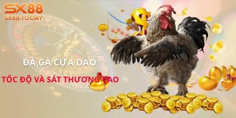 Đá Gà SX8 | Bí Kíp Chọn Chiến Kê Để Không Rơi Vào Bẫy - Paxon