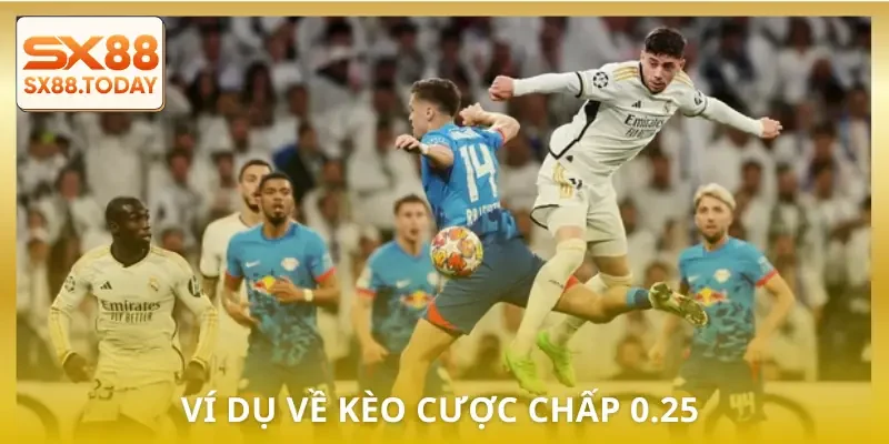Xem Kèo Chấp 0.25 Chuẩn Từng Bước Để Không Bị Thua Oan - Paxon