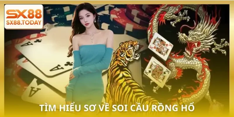 Soi Cầu Rồng Hổ - Bí Quyết Đọc Chuẩn Tăng Tỷ Lệ Thắng - Paxon