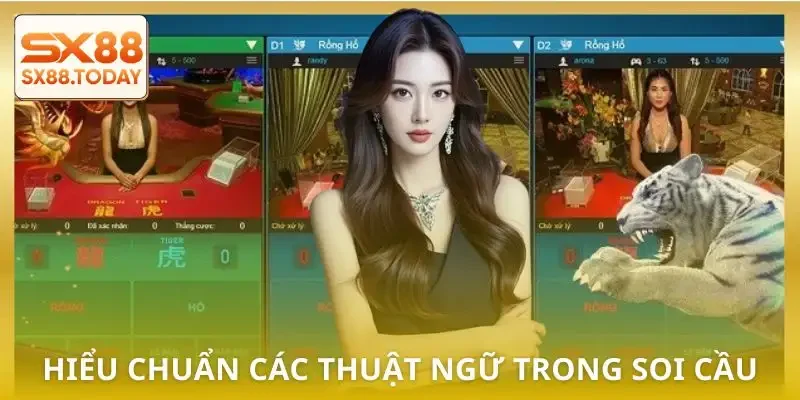 Soi Cầu Rồng Hổ - Bí Quyết Đọc Chuẩn Tăng Tỷ Lệ Thắng - Paxon