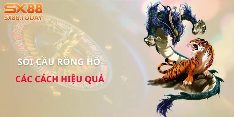 Kinh Nghiệm Xóc Đĩa SX88 | Đọc Chu Kỳ Chuẩn Thắng Dễ Dàng - Paxon