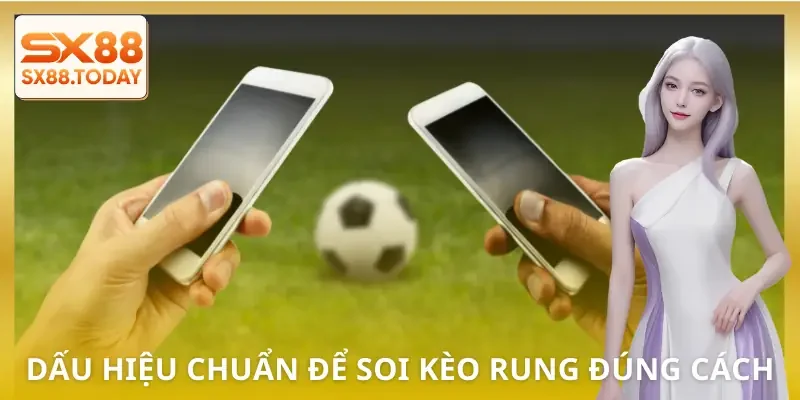 Soi Kèo Rung | Bí Quyết Cược Đúng Nhịp Để Không Bị Lệch Pha - Paxon