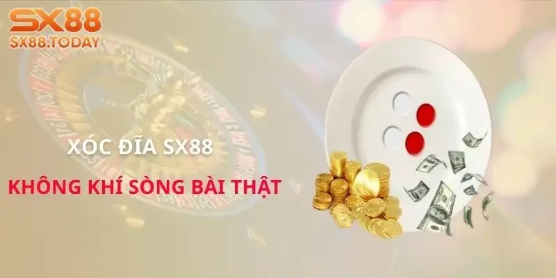 Casino SX88 – Sảnh Cược Dành Cho Người Chơi Chuyên Nghiệp - Paxon